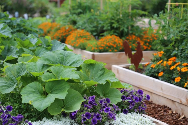 vegetable and flower garden