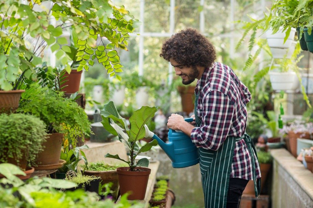Man watering plants