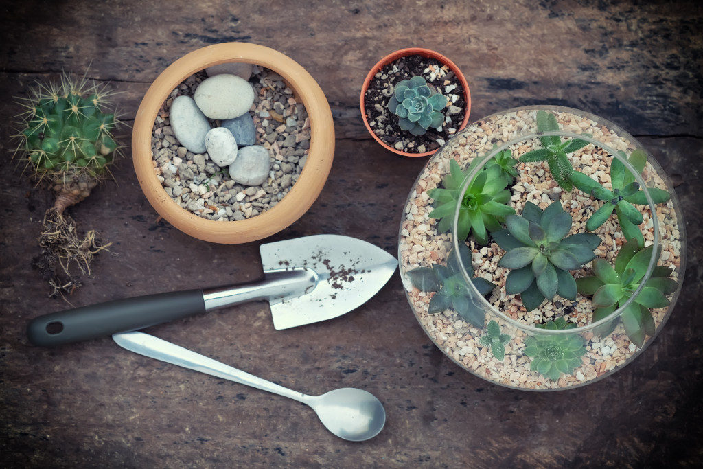 Terrarium bottle,Planted in the small garden with cactus and Miniature succulent plants
