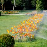 a lawn with sprinklers