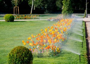 a lawn with sprinklers