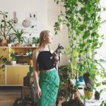 Indoor plants for a healthy environment